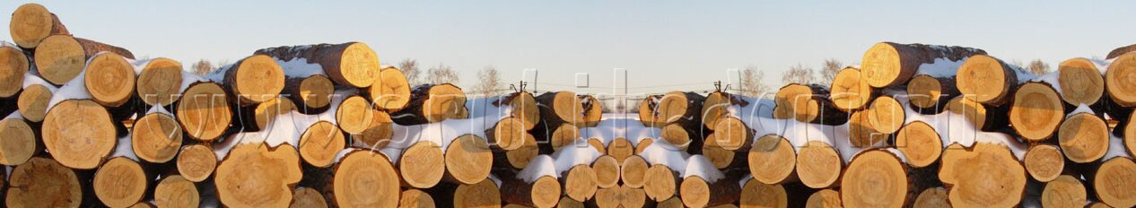 лесозаготовка и производство срубов лесозаготовка и производство срубов